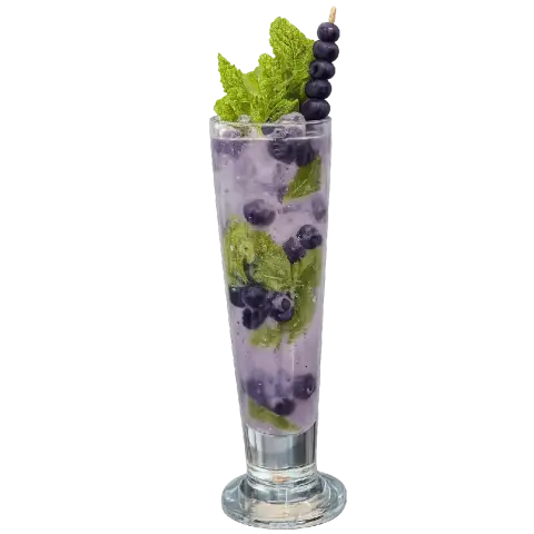 Blueberry Mojito