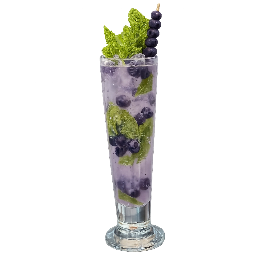 Blueberry Mojito