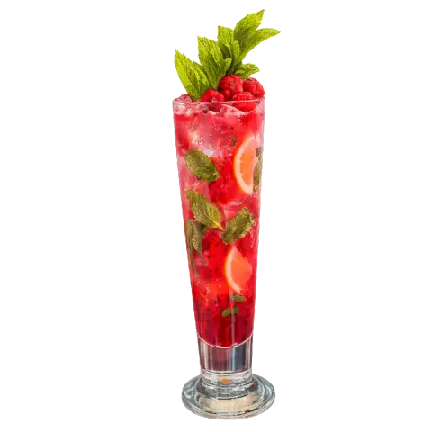 Raspberry Mojito